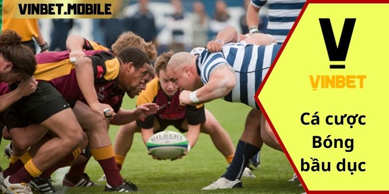 Cá cược bóng đá sân chơi tại VINBET