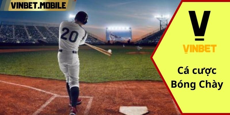 Cá cược bóng chày tại VINBET - Trò chơi cược siêu HOT 2024 Sân chơi cược bóng chày VINBET đông người chơi