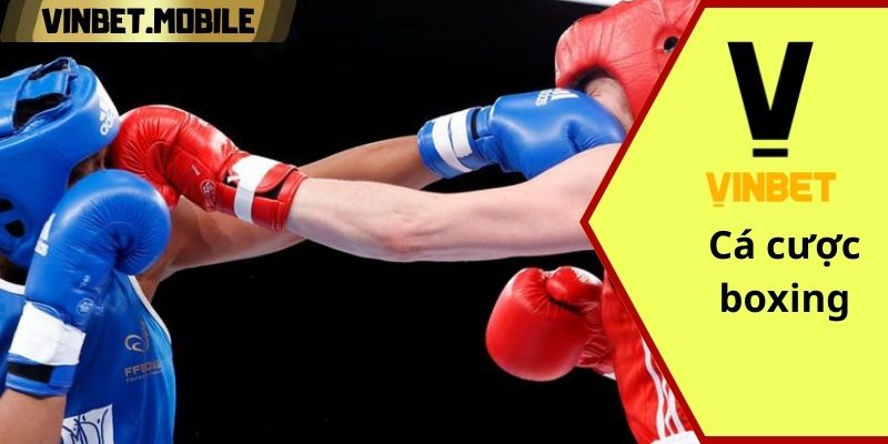 Cá cược Boxing trực tuyến hấp dẫn tại cổng nhà cái VINBET Cá cược boxing Vinbet hấp dẫn
