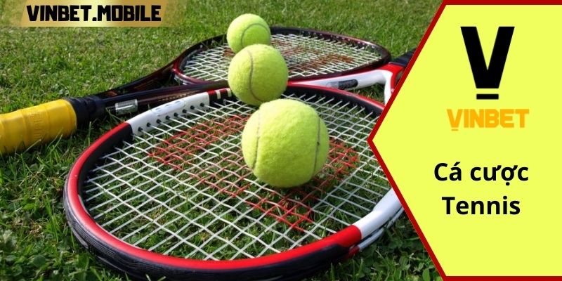 Cá cược tennis trực tuyến: Hướng dẫn và mẹo để kiếm tiền từ tennis Hướng dẫn cá cược tennis cho anh em mới bắt đầu