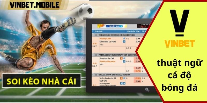 Thuật ngữ cá độ bóng đá: Hướng dẫn toàn diện để thắng lớn Phân tích chi tiết về các thuật ngữ cá độ bóng đá