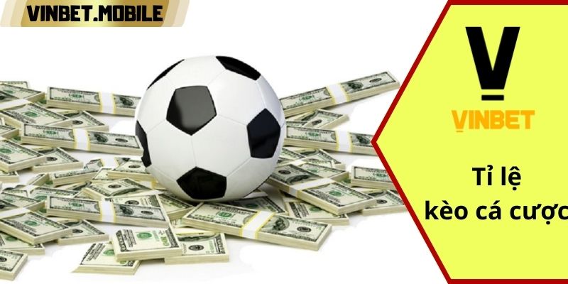 Tỉ lệ kèo cá cược VINBET: Tìm hiểu về nhà cái uy tín và chất lượng Kèo cược banh Vinbet hấp dẫn
