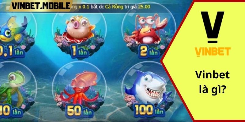 Vinbet cổng game cá cược được nhiều người ghé đên